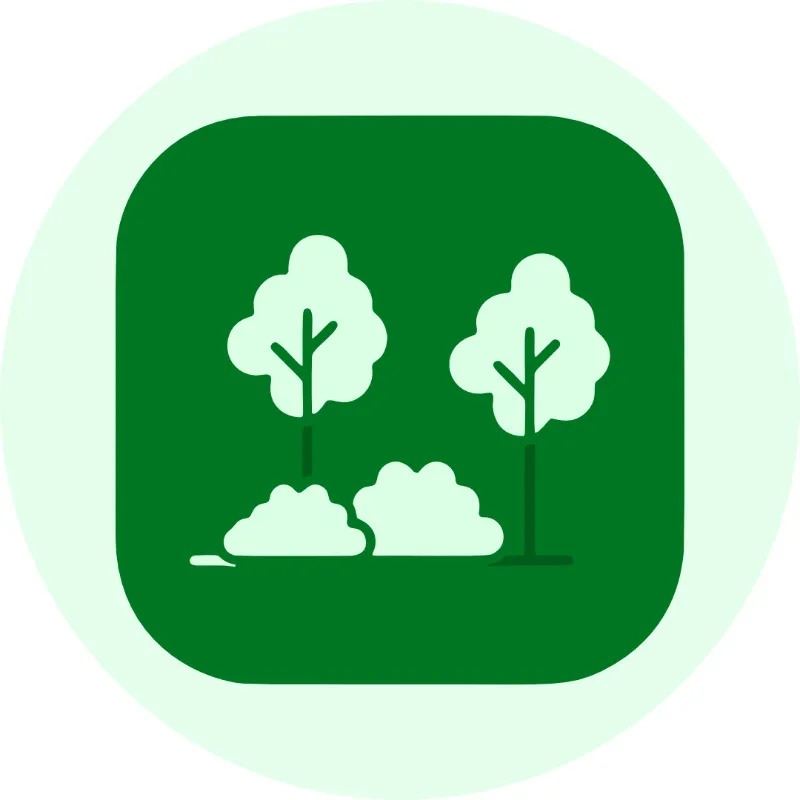 Category Landscaping & Garden image
